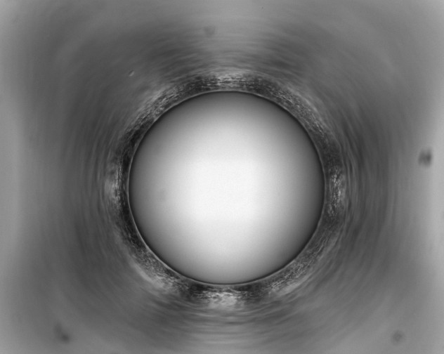 X0000099440698200805161134