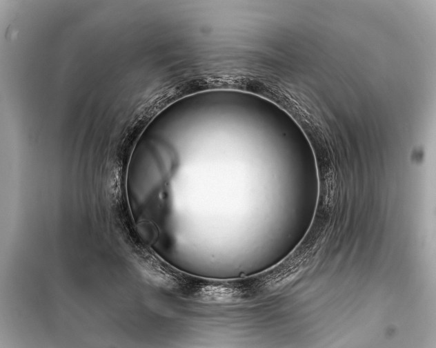 X0000099440699200805161134