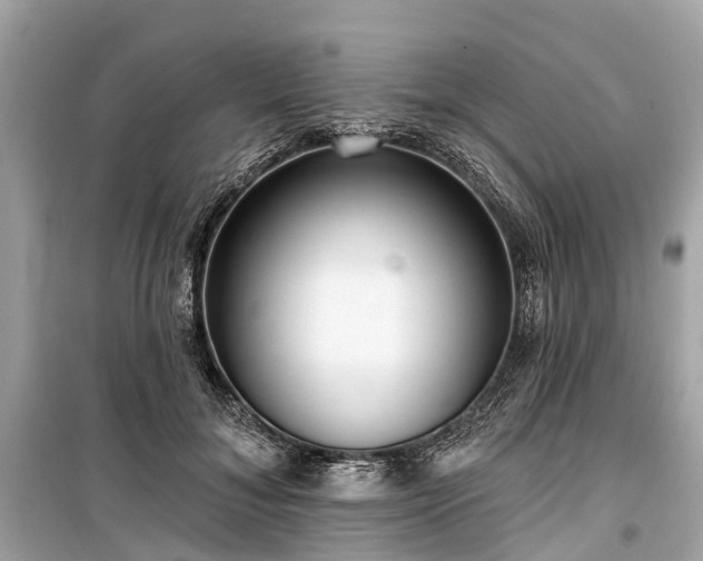 X0000099440700200805161134