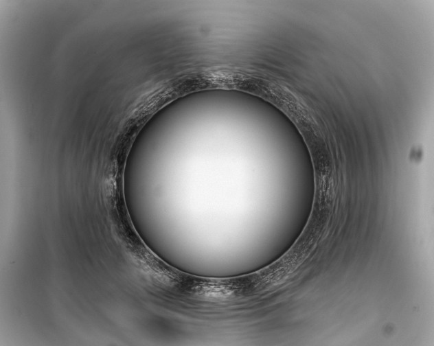 X0000099440702200805161134