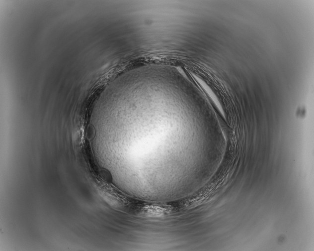 X0000099440703200805161134