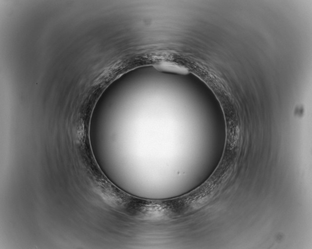 X0000099440704200805161134