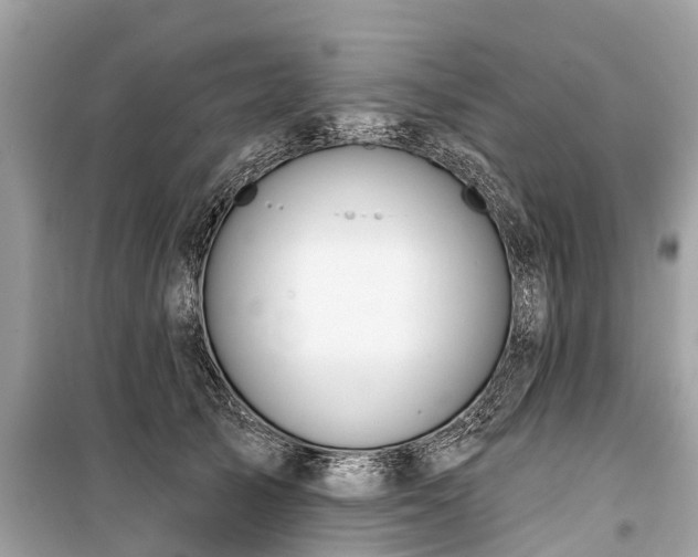 X0000099440705200805161134