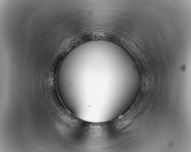 X0000099440706200805161134