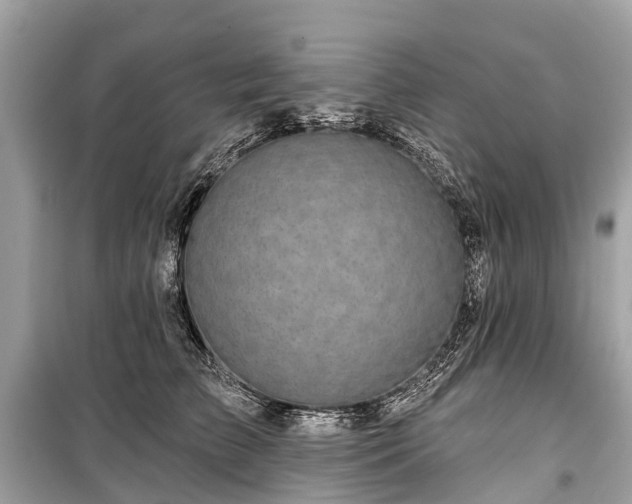 X0000099440709200805161134