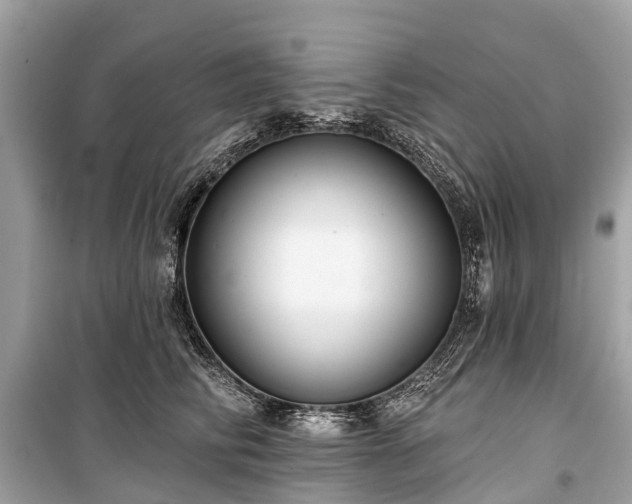 X0000099440710200805161134