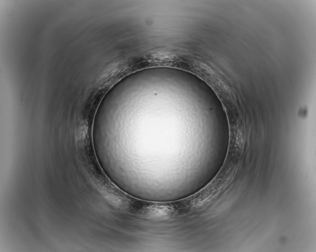 X0000099440711200805161134