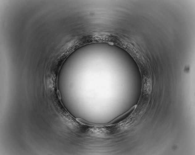 X0000099440712200805161134