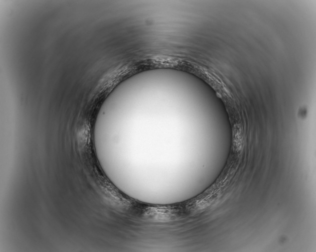 X0000099440713200805161134