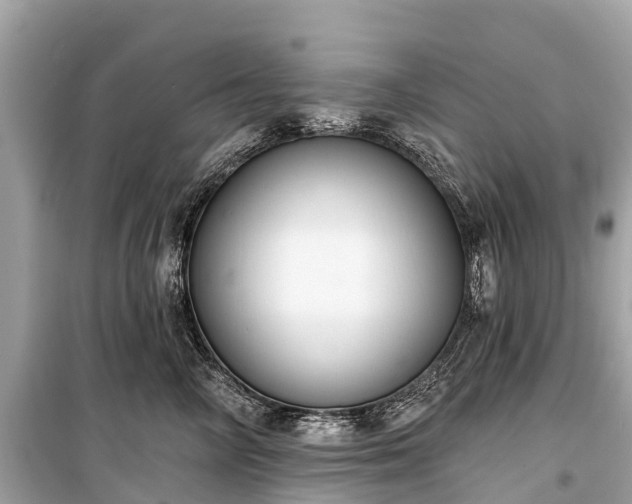 X0000099440714200805161134