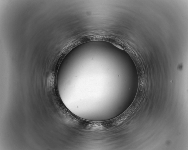 X0000099440715200805161134