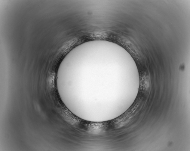 X0000099440717200805161134