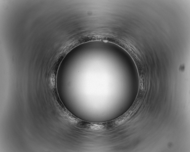X0000099440718200805161134