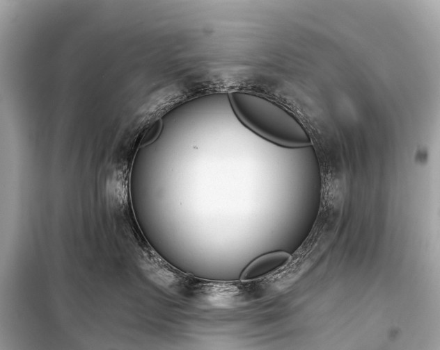 X0000099440719200805161134