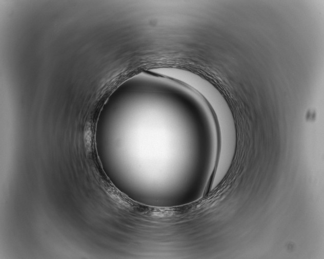 X0000099440720200805161134