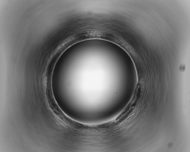 X0000099440722200805161133