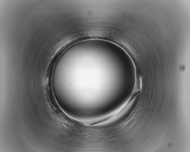X0000099440723200805161133