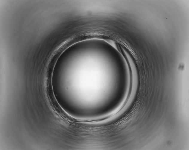 X0000099440724200805161133
