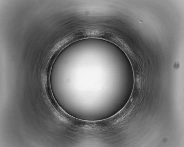 X0000099440725200805161133