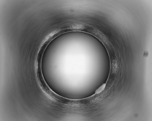 X0000099440726200805161133