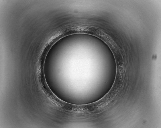 X0000099440727200805161133