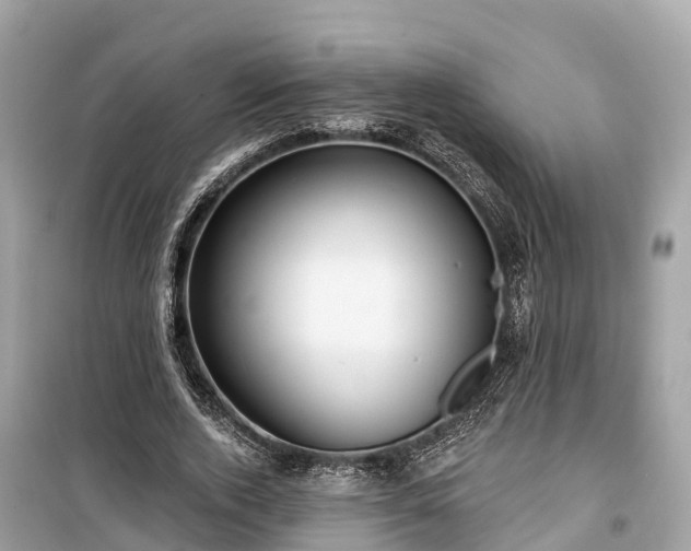 X0000099440728200805161133