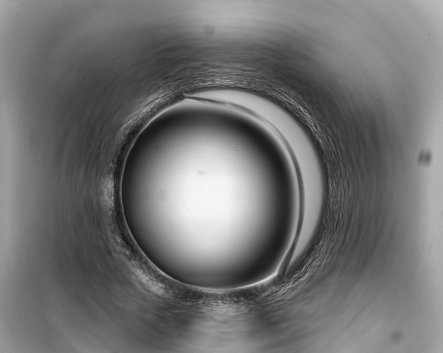 X0000099440729200805161133