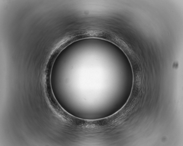 X0000099440730200805161133