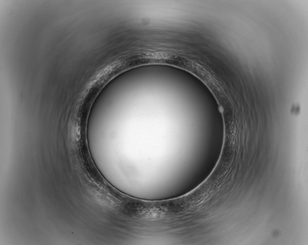 X0000099440731200805161133