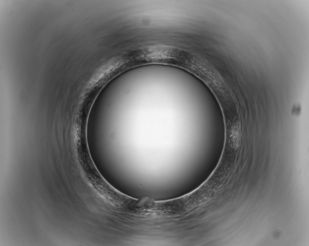 X0000099440732200805161133