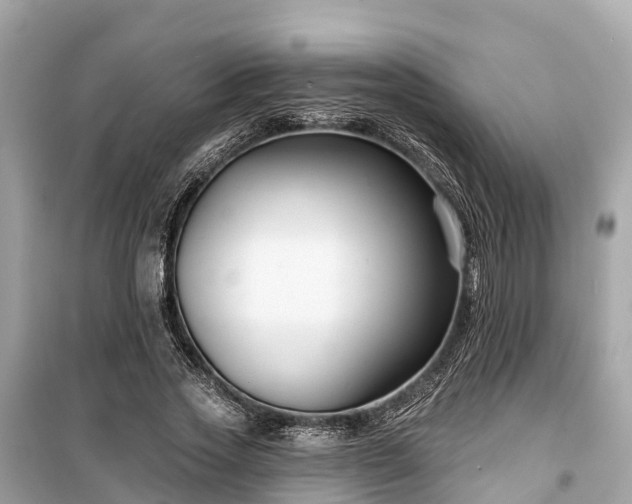 X0000099440733200805161133