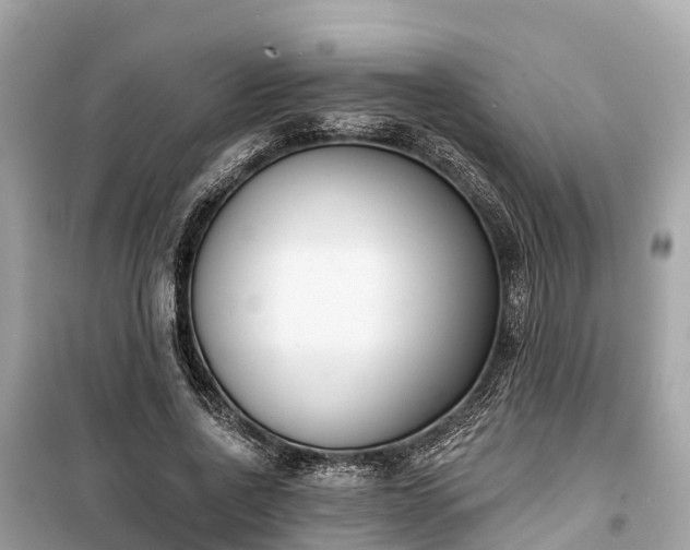 X0000099440734200805161133