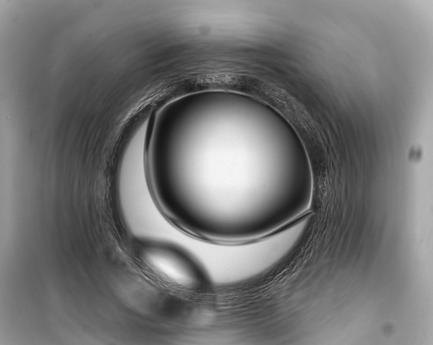 X0000099440735200805161133