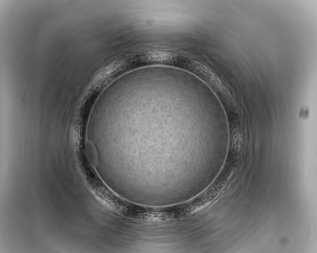 X0000099440736200805161133