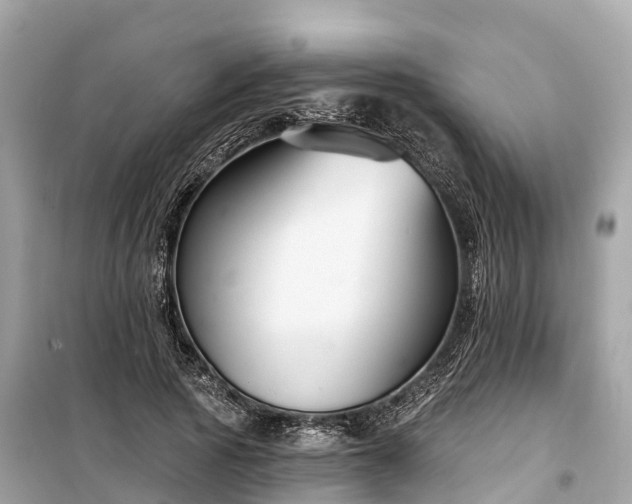 X0000099440737200805161133