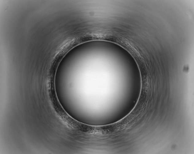 X0000099440738200805161133