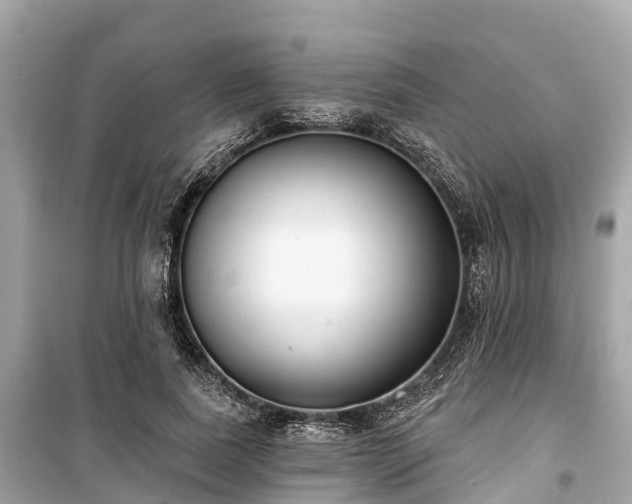 X0000099440739200805161133