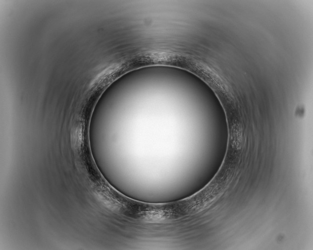 X0000099440740200805161133