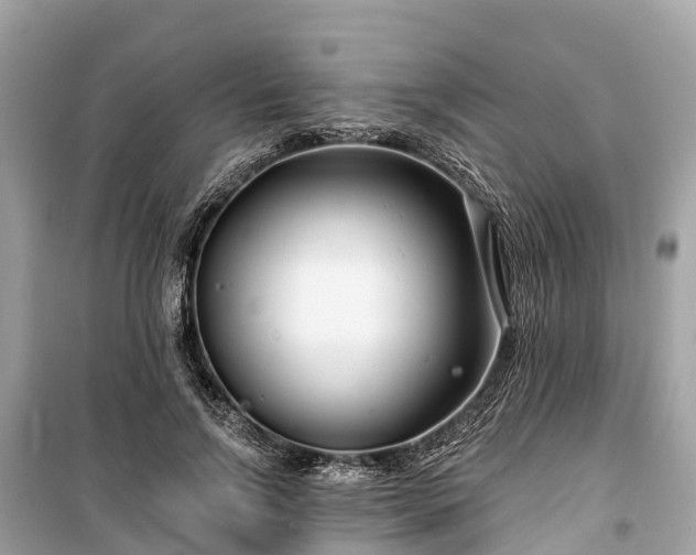 X0000099440742200805161133