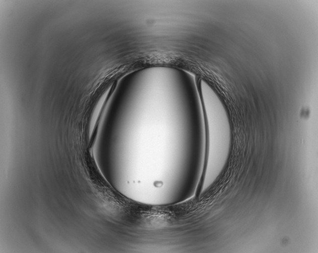 X0000099440743200805161133