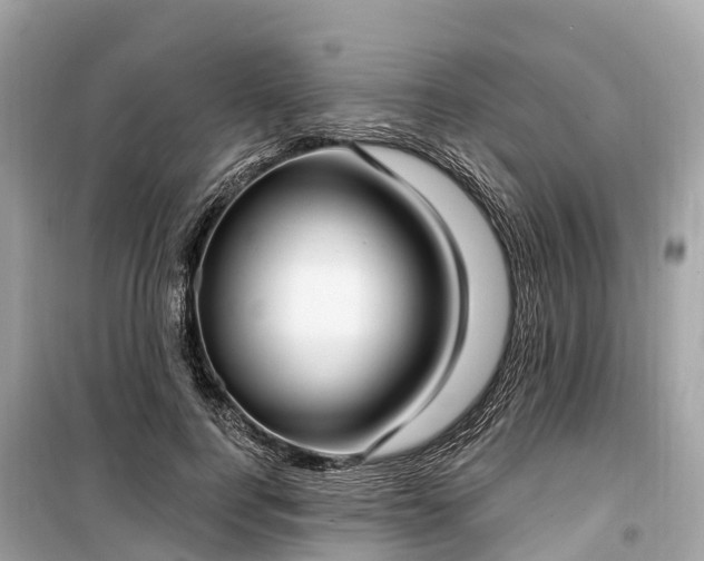 X0000099440744200805161133