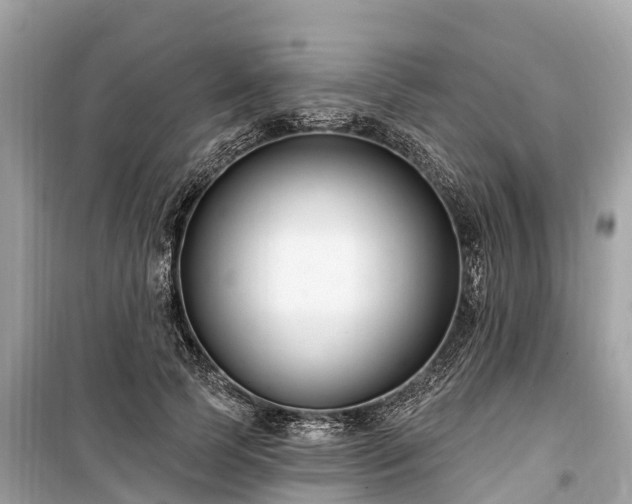 X0000099440745200805161133