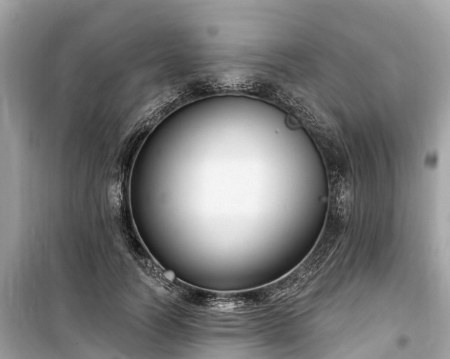 X0000099440746200805161133