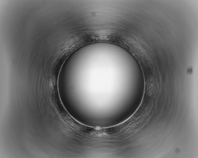 X0000099440747200805161133