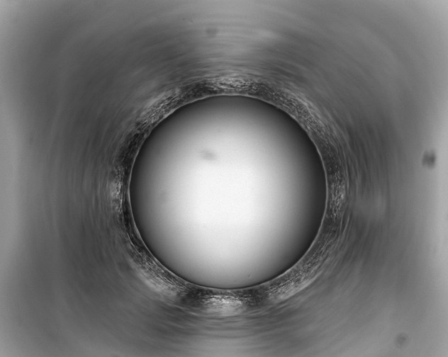 X0000099440749200805161133