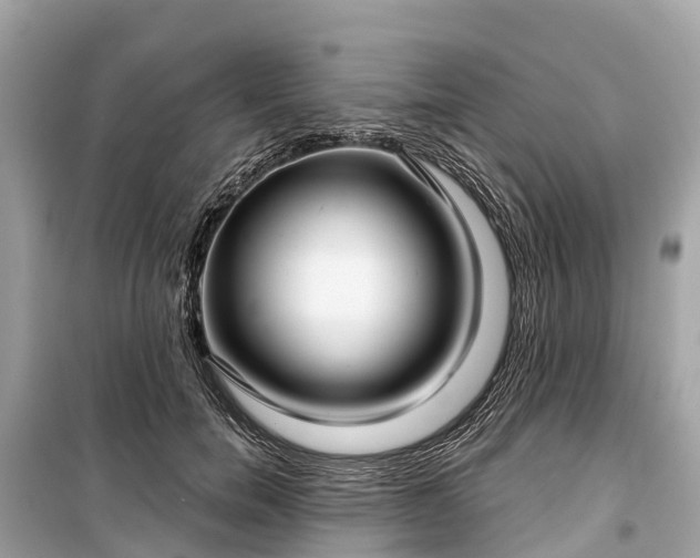 X0000099440750200805161133