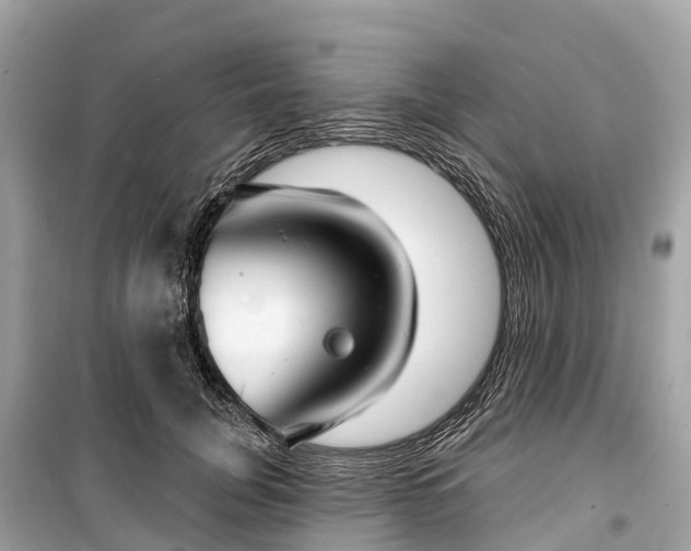 X0000099440751200805161133