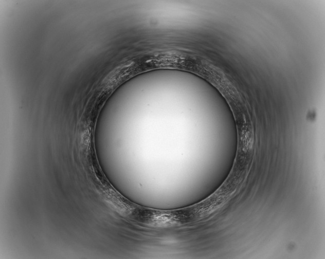 X0000099440753200805161133