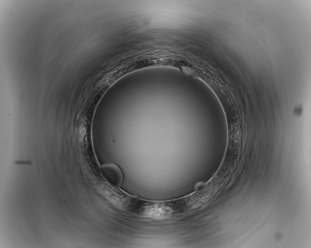 X0000099440754200805161133