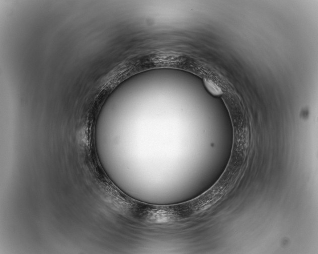 X0000099440755200805161133